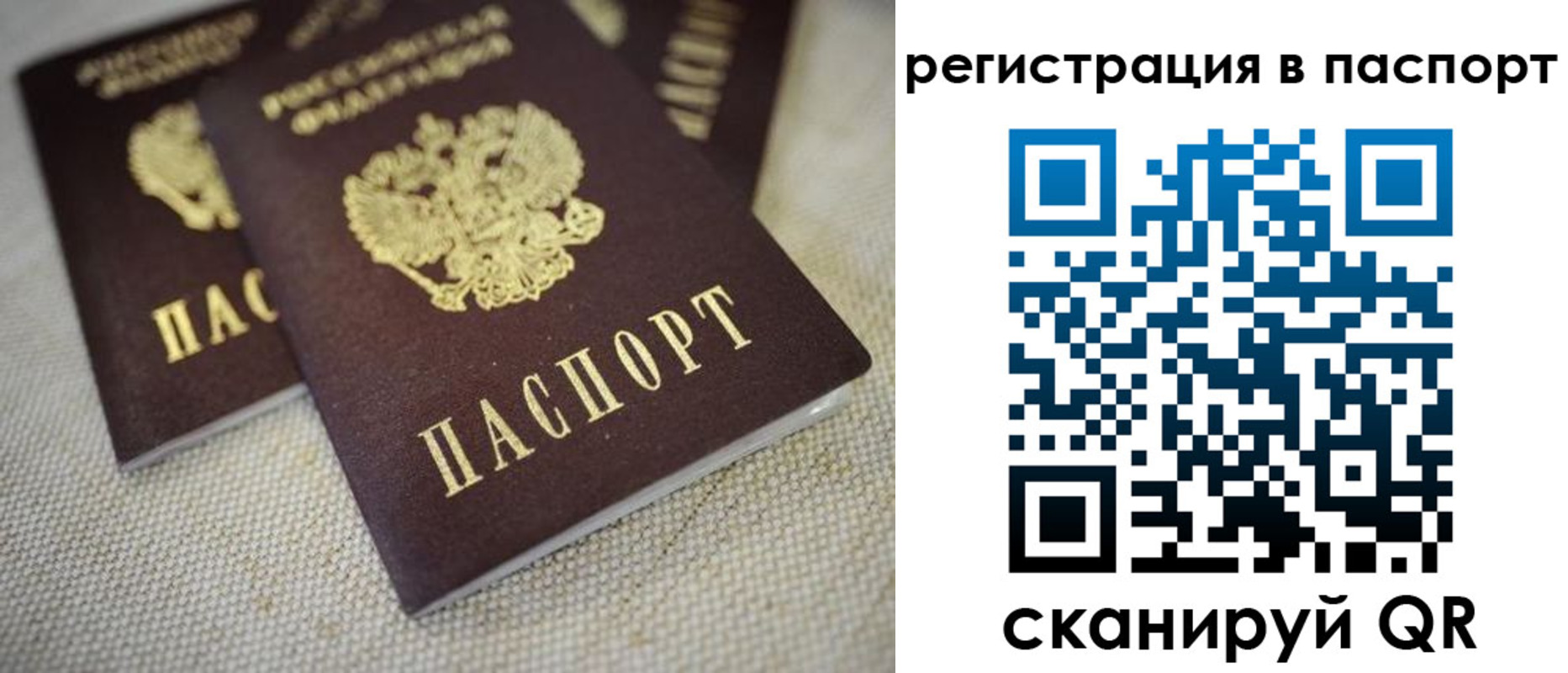 прописка гарантия в Ельце